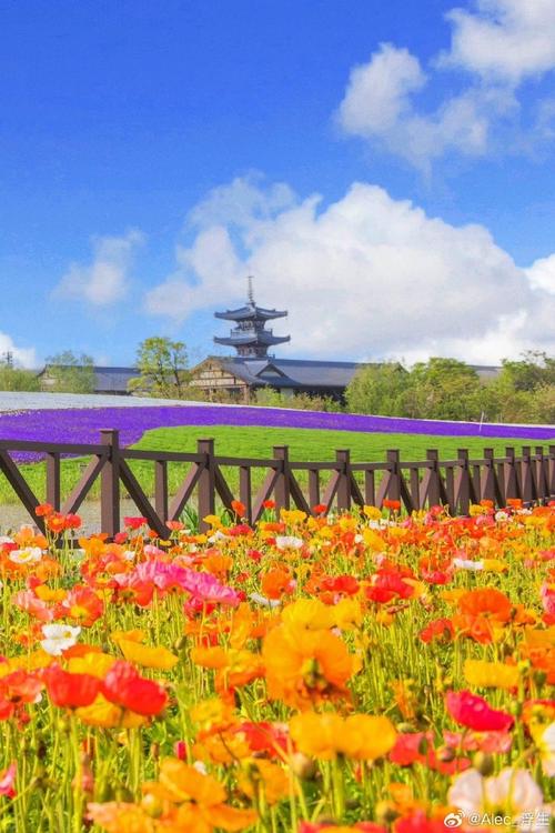 无锡拈花湾风景区-图2