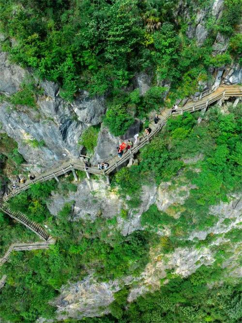 九黄山风景区-图2