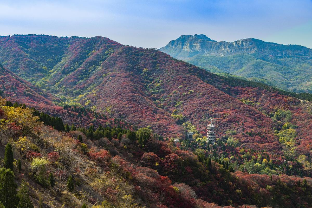 红叶谷风景区-图1