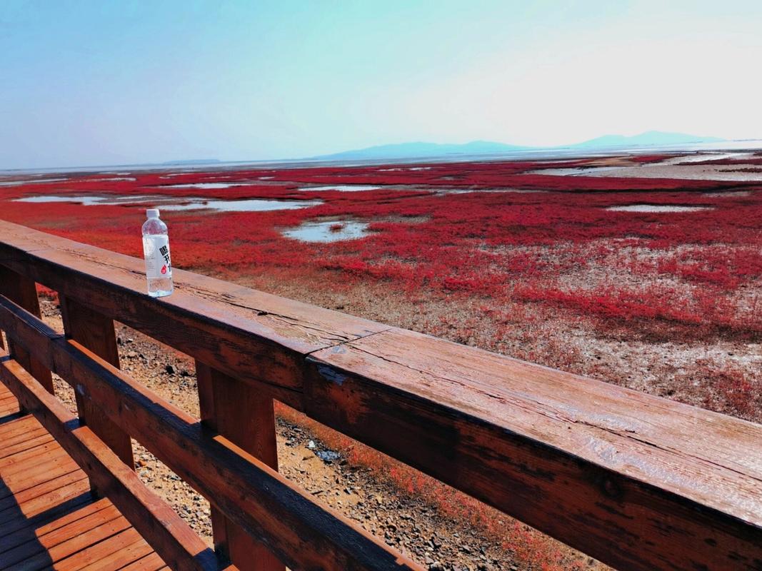 兴城红海滩风景区-图3