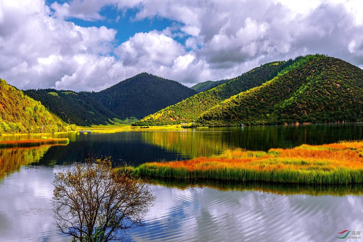 普达措风景区-图2