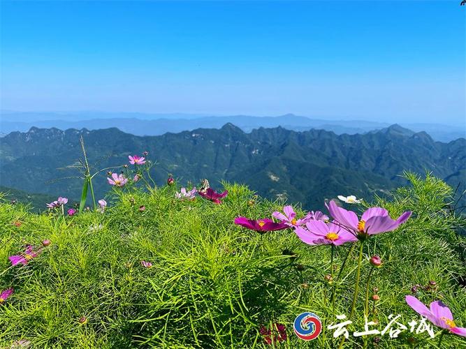 谷城赵湾风景区-图1