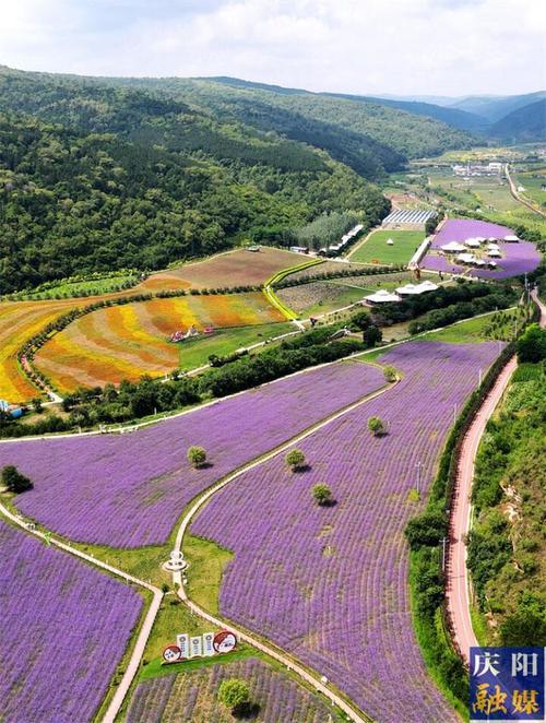 花溪谷风景区-图1