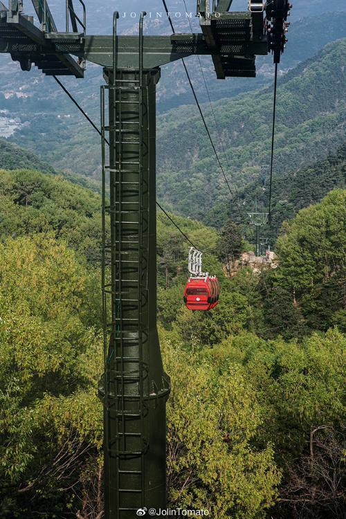 风景区旅游车-图2