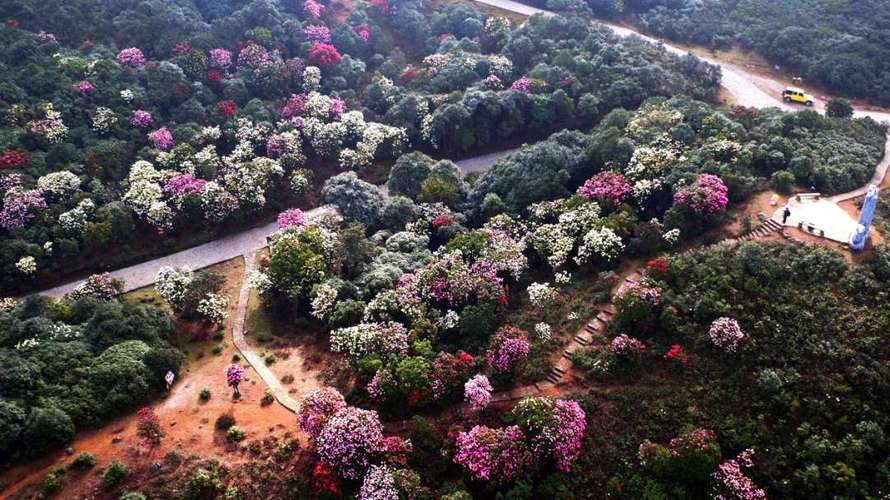 师宗县风景区-图2