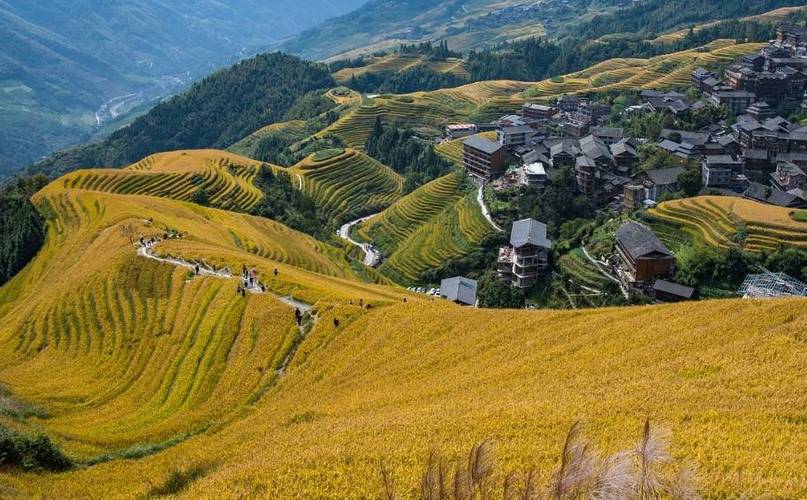 漓江风景区介绍-图1