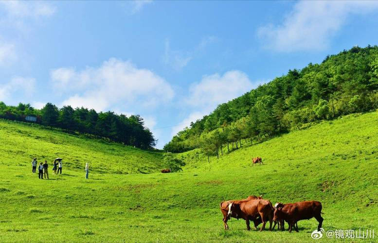 镇巴草坝子风景区-图2