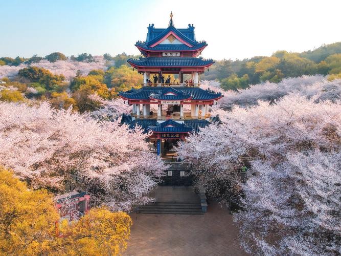 无锡樱花谷风景区-图2