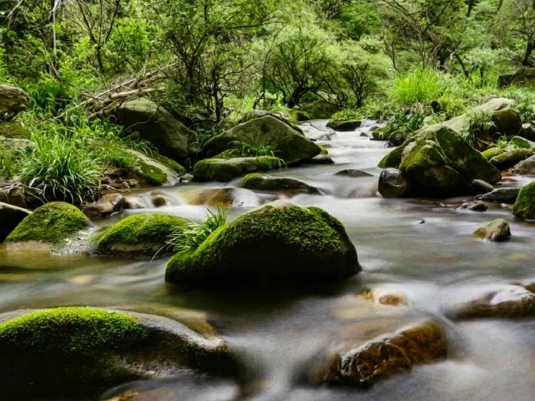 九女潭风景区-图1