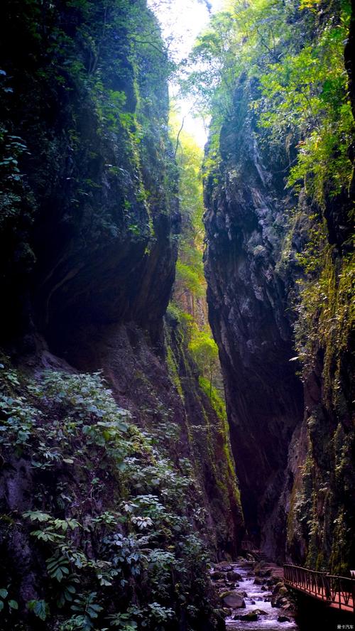 会泽大地缝风景区-图2