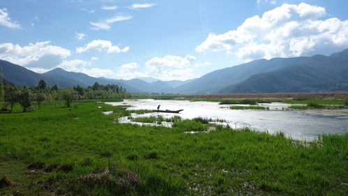 草海图片风景区-图2