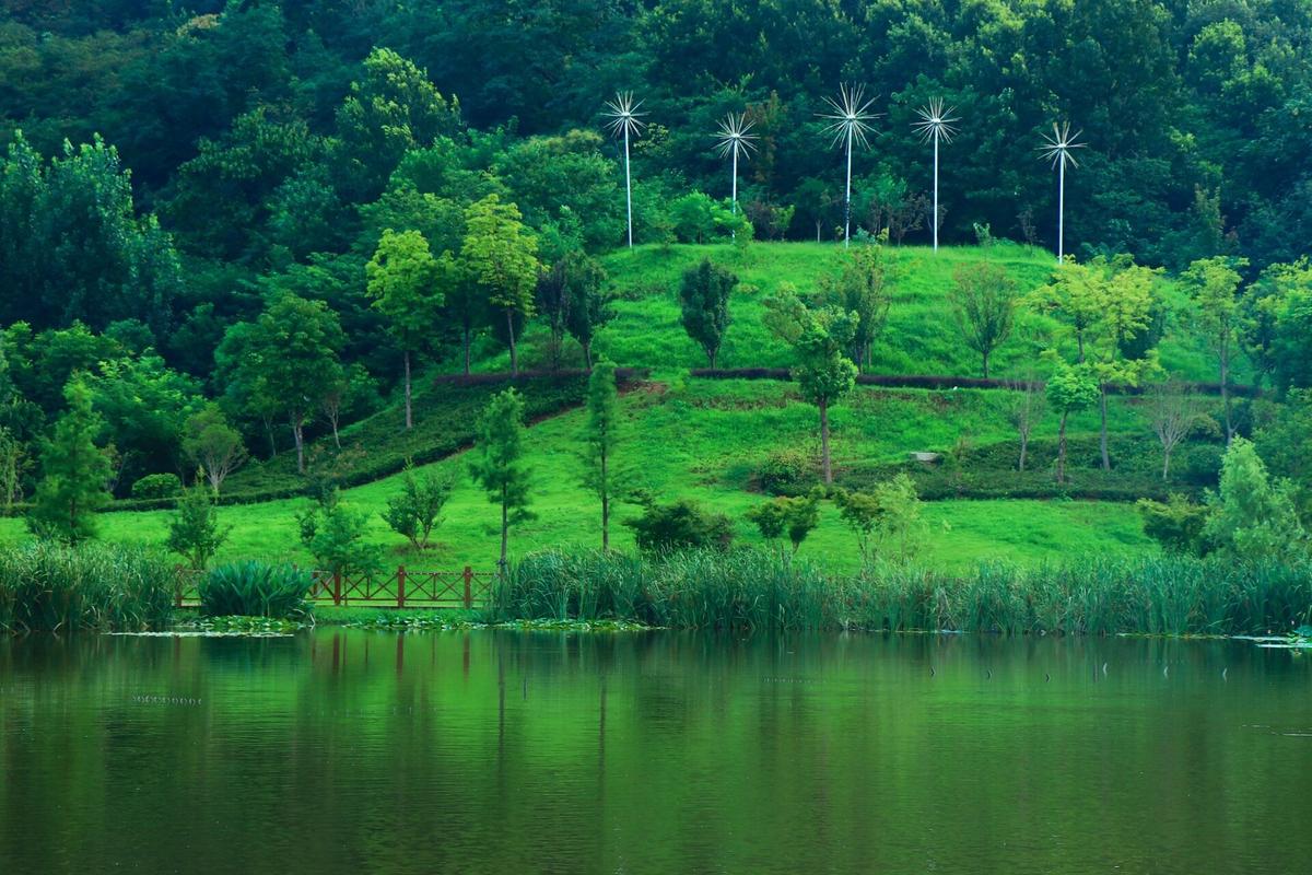 确山薄山湖风景区-图2