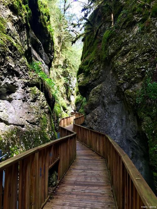 抚州大觉山风景区-图2