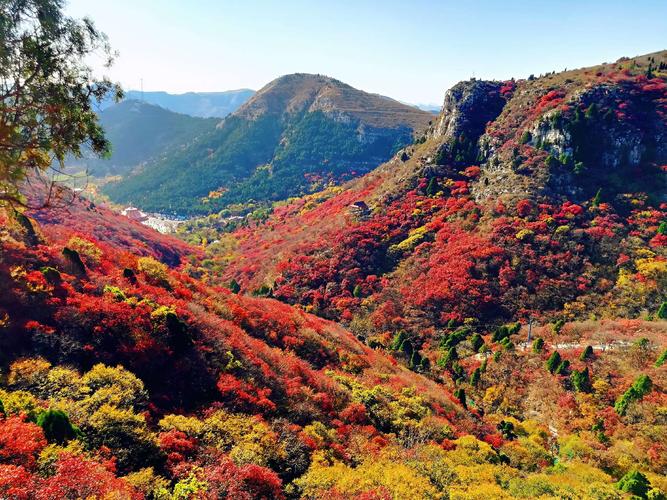 临朐石门坊风景区图片-图3