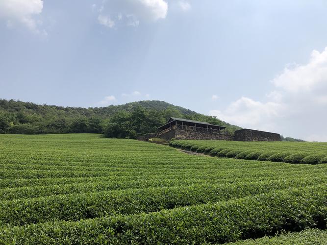 长阳龙池山风景区-图2