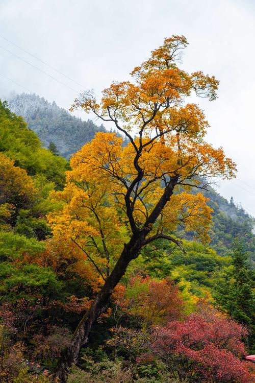 米亚罗风景区怎么样-图3