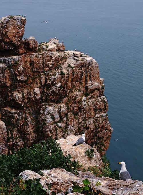 海驴岛风景区好玩吗-图1