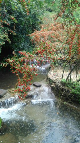 红果风景区有那些地方-图3