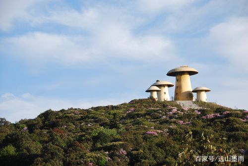 菌子山风景区好玩吗-图2