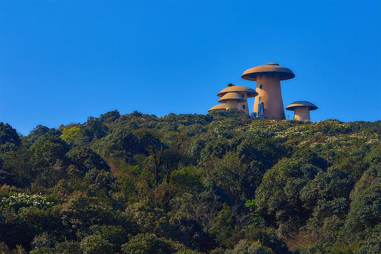 菌子山风景区好玩吗-图1