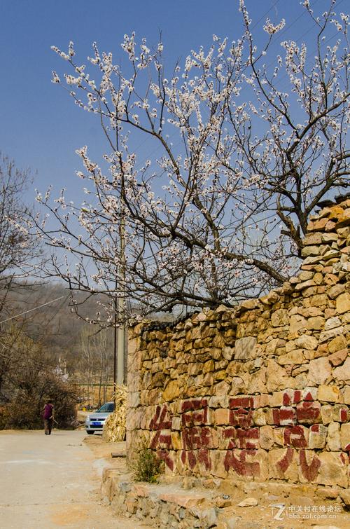 日照九条沟风景区-图2