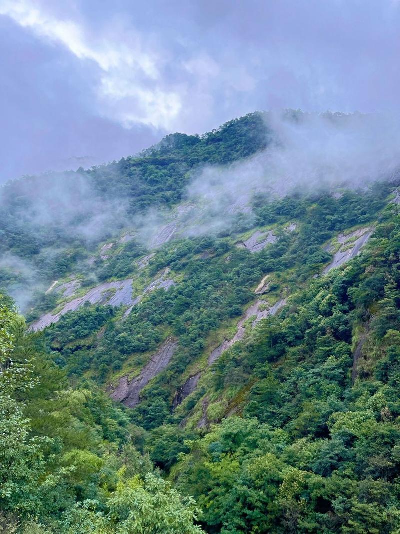 江西怀玉山风景区-图1