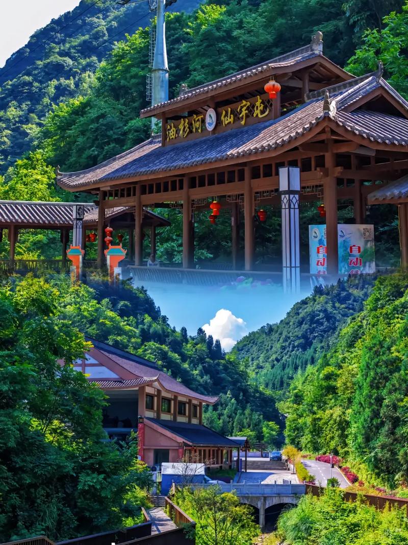 贵州大方油杉河风景区-图2