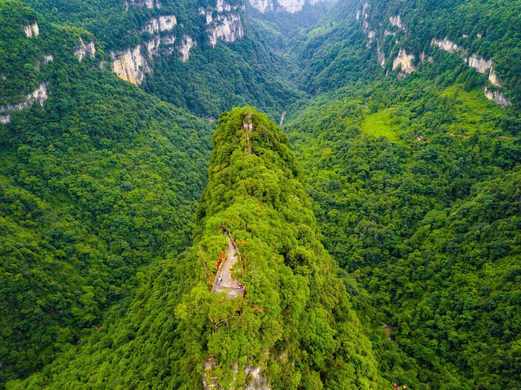 贵州大方油杉河风景区-图1