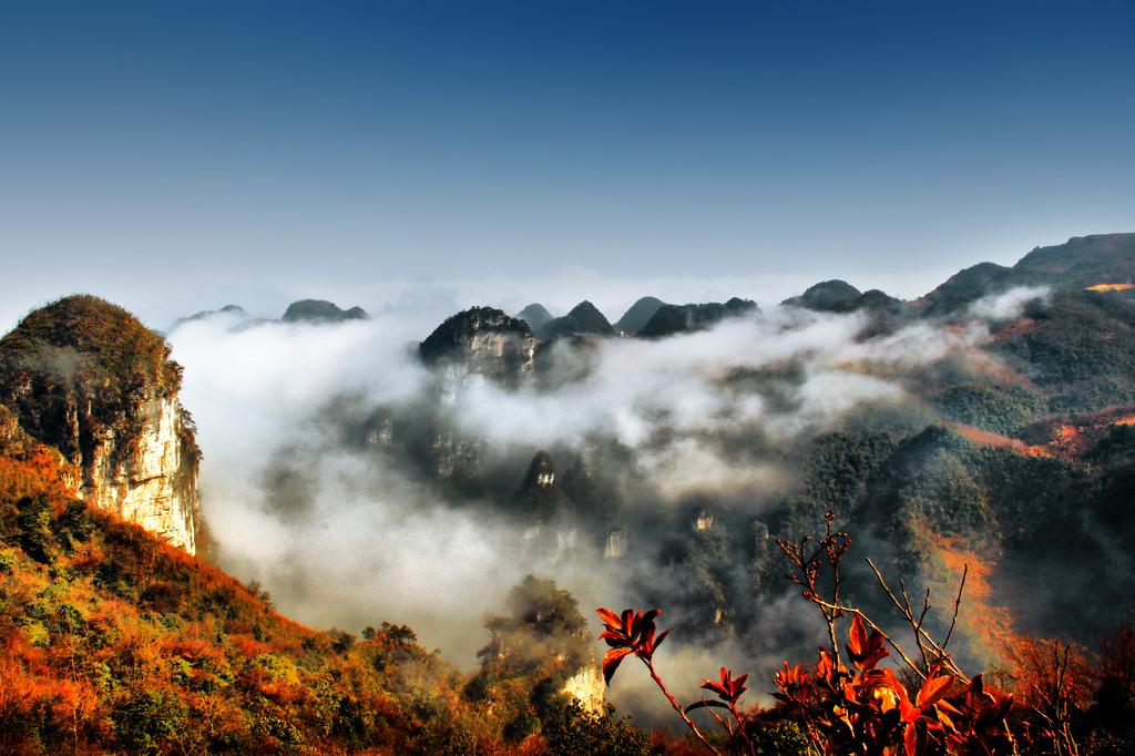 贵州大方油杉河风景区-图3