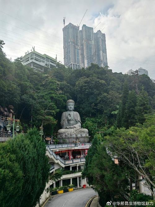 云顶山风景区在哪里-图2