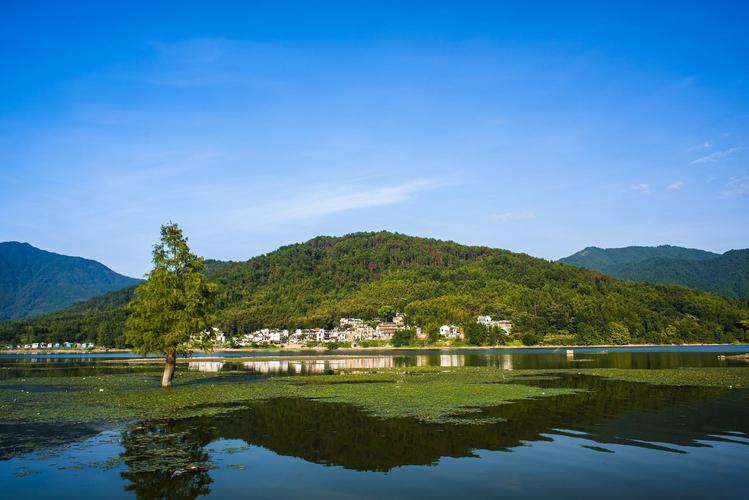 安徽月亮湾风景区图片-图2