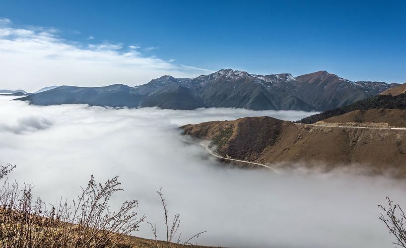 夹金山风景区旅游-图2