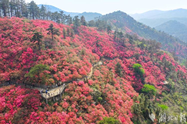 黄陂木兰云雾山风景区-图2