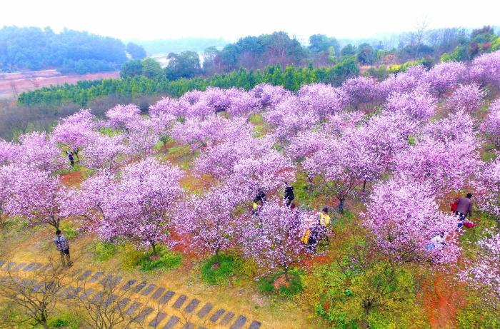 凤凰沟风景区在哪里-图1