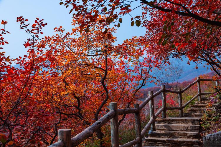 北京坡峰岭风景区-图1