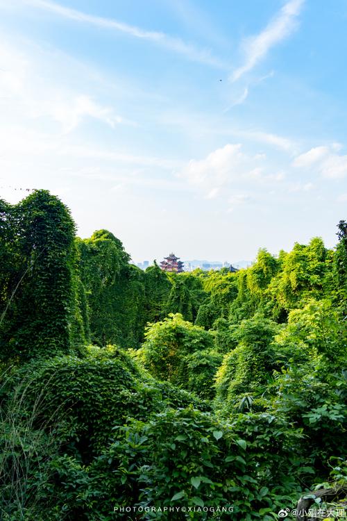 吴山旅游风景区-图1