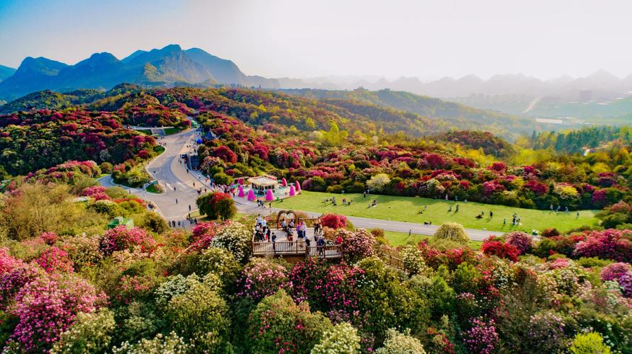 毕节花垚谷风景区-图1