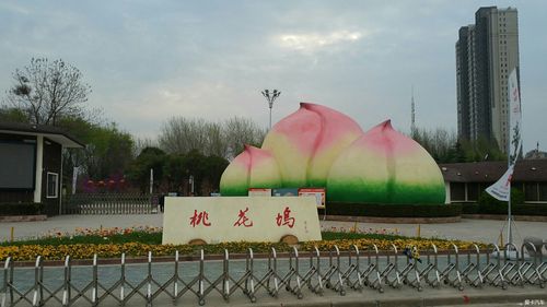 淮安桃花坞风景区-图2