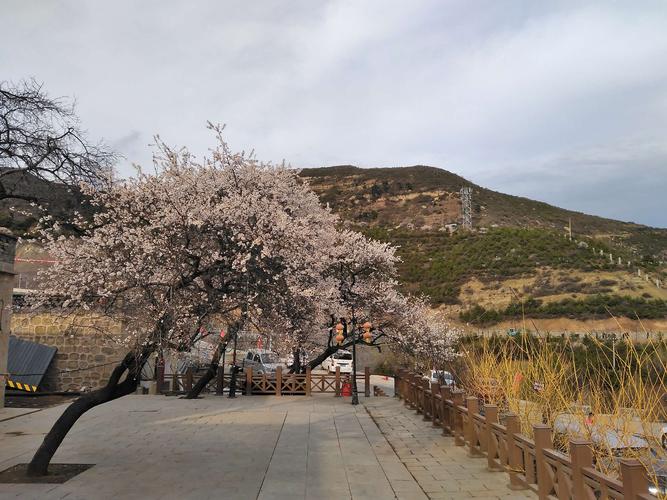 太原桃花沟风景区在哪-图1