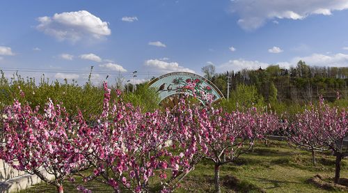 太原桃花沟风景区在哪-图2