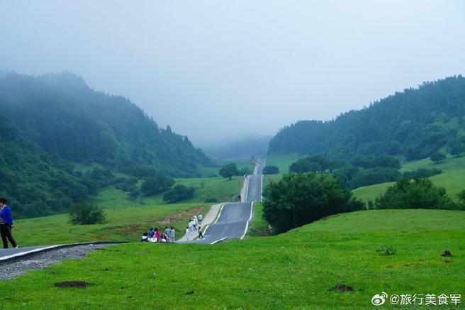 武隆仙女山风景区-图3