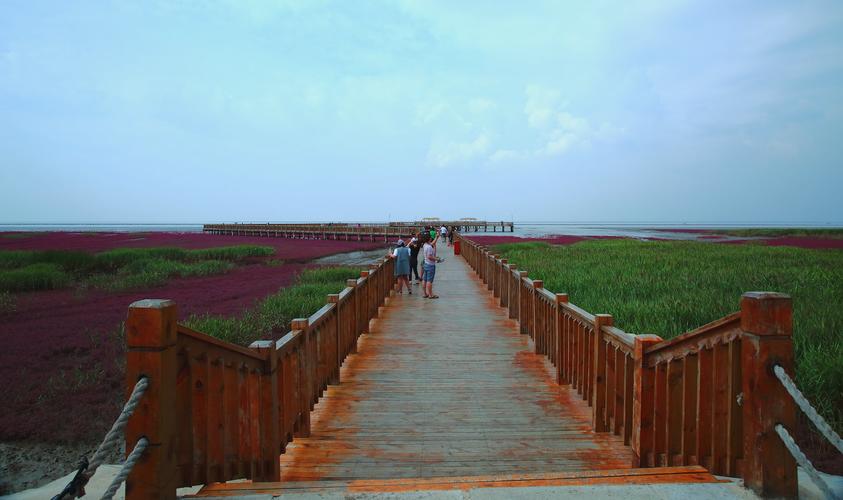 十一红海滩风景区-图2