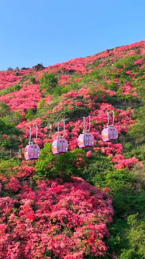 武汉木兰云雾山风景区-图3