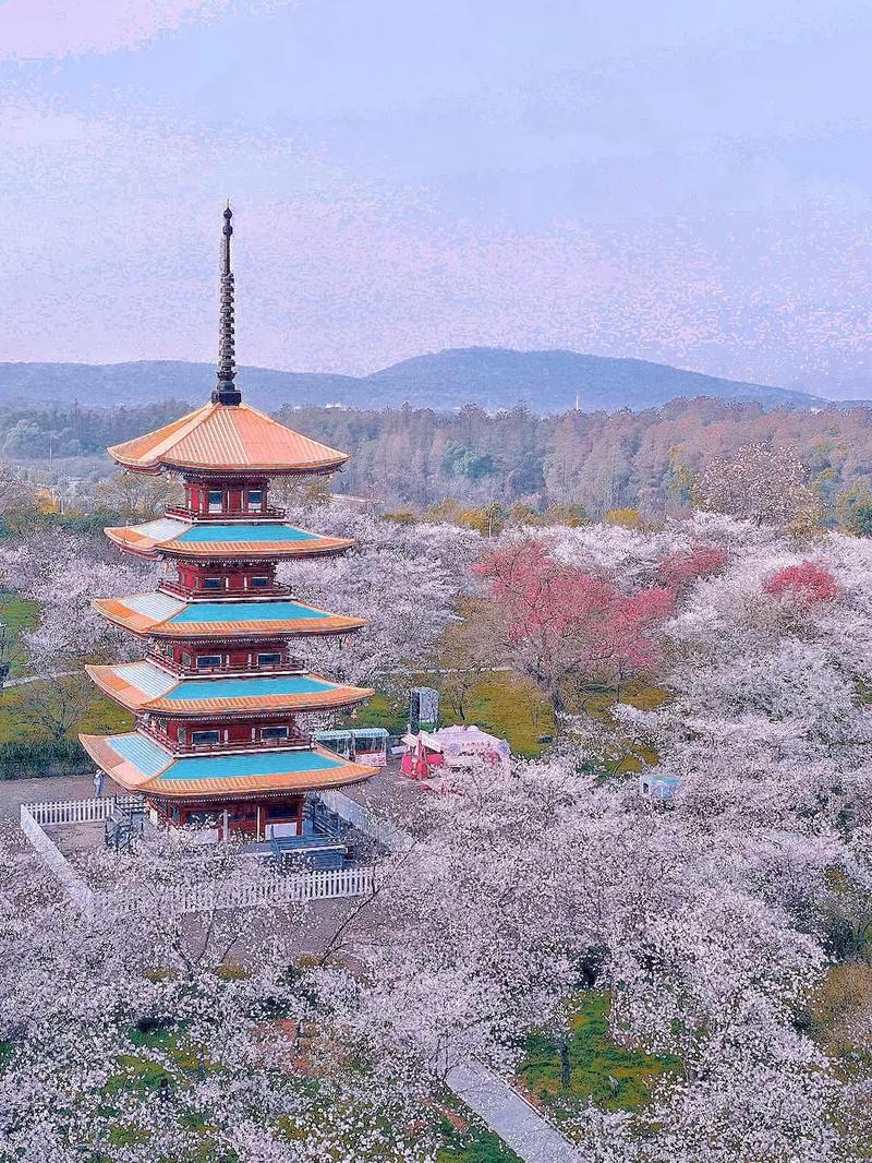 东湖磨山风景区攻略-图2