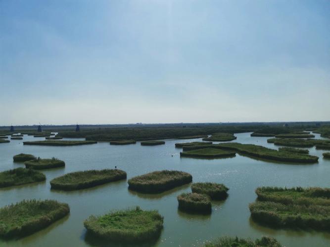 巨淀湖风景区电话-图2