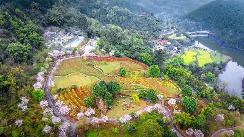 新津梨花溪风景区门票-图2