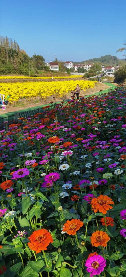 铜陵梧桐花谷风景区-图2