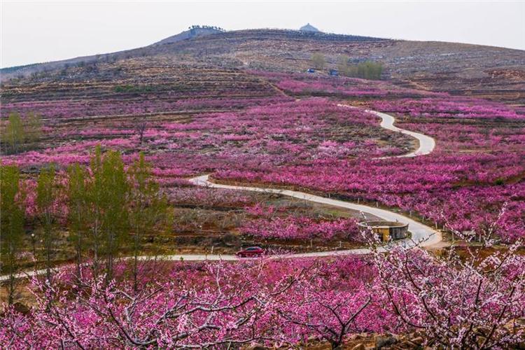 邯郸桃花山风景区-图2