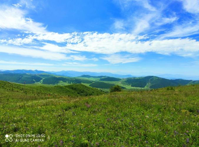 喜鹊梁风景区收费吗-图2