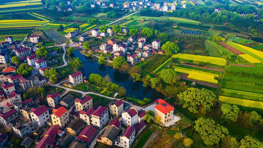 蜀口洲风景区2017-图3